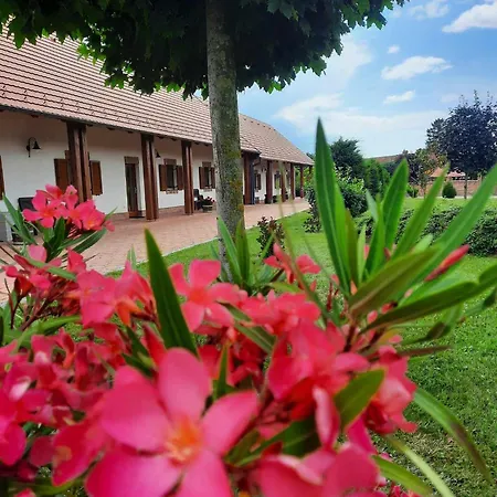 Bocor Fogado Bed & Breakfast