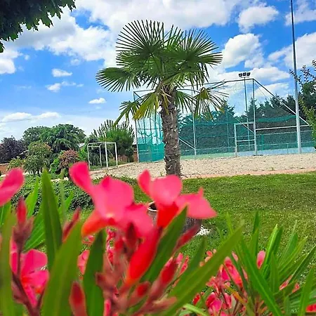 Bed & Breakfast Bocor Fogado 4*