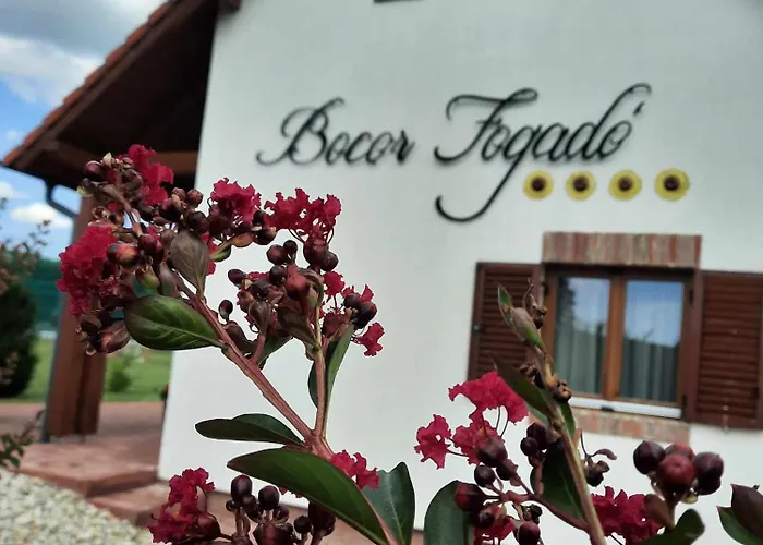 住宿加早餐酒店 Bocor Fogado